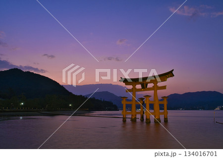 【広島県・宮島】厳島神社・大鳥居・夕焼け・マジックアワー 【広島県・宮島】厳島神社・大鳥居・夕焼け・マジックアワー 134016701