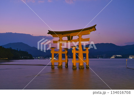 【広島県・宮島】厳島神社・大鳥居・夕焼け・マジックアワー 134016708