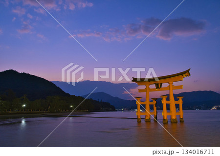 【広島県・宮島】厳島神社・大鳥居・夕焼け・マジックアワー 134016711