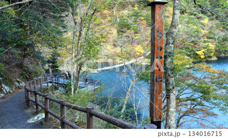 寸又峡　夢のつり橋 134016715