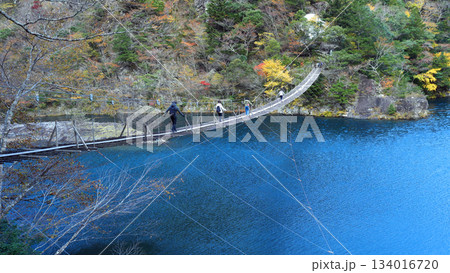寸又峡 夢のつり橋 寸又峡 夢のつり橋 134016720