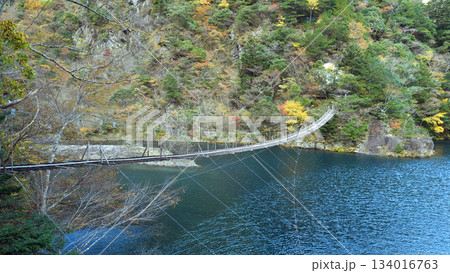 寸又峡　夢のつり橋 134016763