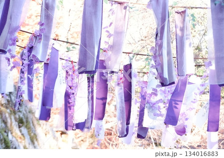 奈良県談山神社の「結びの藤棚掛け」 奈良県談山神社の「結びの藤棚掛け」 134016883