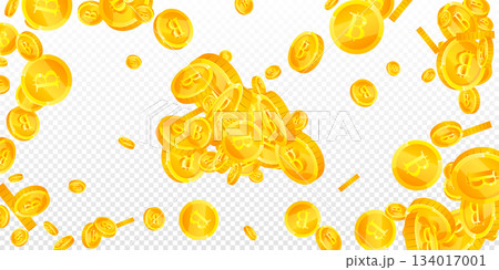 Bitcoin coins falling. Cryptocurrency scattered gold BTC coins. Internet currency. Great business success concept. Wide vector illustration. Bitcoin coins falling. Cryptocurrency scattered gold BTC coins. Internet currency. Great business success concept. Wide vector illustration. 134017001
