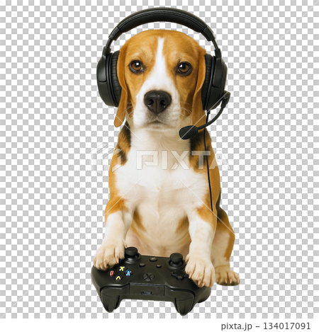 Beagle Gamer with Headset and Game Controller 134017091