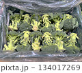 ブロッコリー 134017269