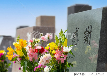 「感謝」の文字が彫刻された洋型墓石とお供えされたカラフルな仏花。 「感謝」の文字が彫刻された洋型墓石とお供えされたカラフルな仏花。 134017403