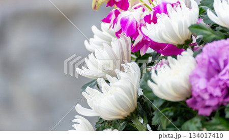 仏花の花束(白菊、ピンクの蘭) 仏花の花束(白菊、ピンクの蘭) 134017410