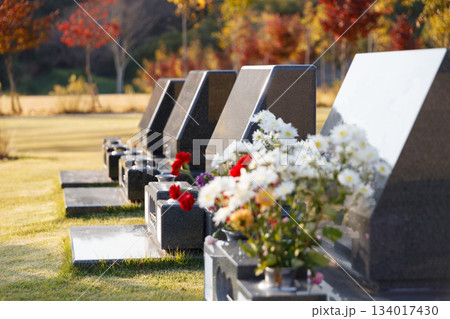 秋の霊園の風景。建ち並ぶ墓石のイメージ 134017430