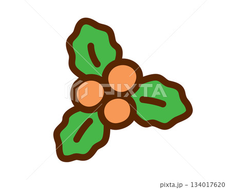 Festive holly illustration with berries and green leaves, perfect for holiday designs 134017620