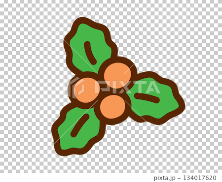 Festive holly illustration with berries and green leaves, perfect for holiday designs 134017620