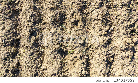 Agricultural machinery tracks on a field, soil in a field with tracks from turnip harvesting. Agricultural machinery tracks on a field, soil in a field with tracks from turnip harvesting. 134017658