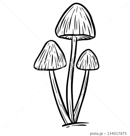 A Fungi Mushroom or Toadstool Vector Illustration Cartoon Wild 134017875