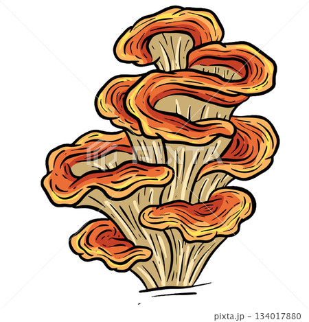 A Fungi Mushroom or Toadstool Vector Illustration Cartoon Wild 134017880