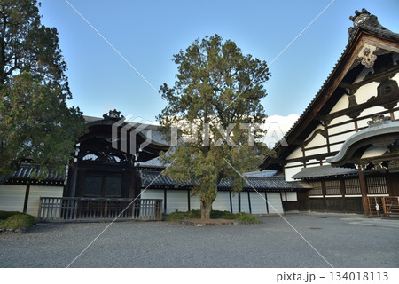 東福寺　庫裡と方丈唐門(京都市東山区) 134018113