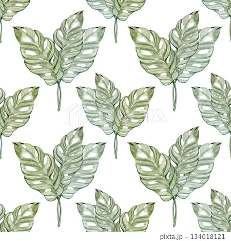 A seamless botanical pattern featuring watercolor tropical leaves with natural shapes and soft green shades. Elegant, fresh and organic design ideal for textiles, wrapping paper, wallpapers, packaging 134018121