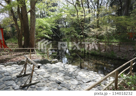京都の世界遺産 下鴨神社の参道・糺の森 京都の世界遺産 下鴨神社の参道・糺の森 134018232