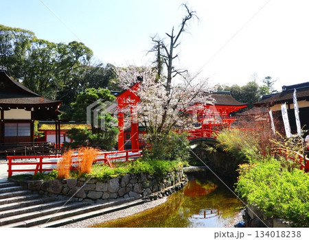 京都の世界遺産 下鴨神社 京都の世界遺産 下鴨神社 134018238