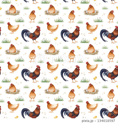Seamless pattern of a poultry yard on a white background. Watercolor illustrations depicting brown hens, a rooster, chickens and grass. Realistic drawing of farm birds for agriculture, packaging 134018597