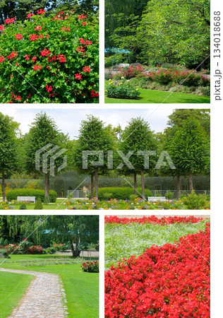 Collage of Vibrant Summer Park Scenes with Flowers, Trees, and Paths Collage of Vibrant Summer Park Scenes with Flowers, Trees, and Paths 134018688