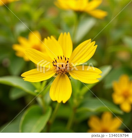 AI generated Detailed macro photograph of vibrant floral petals with lush green background 134019794