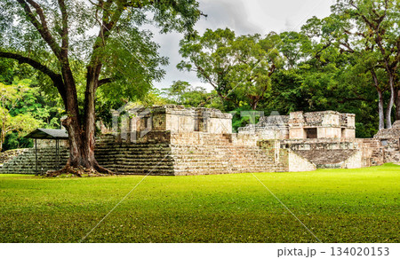 The Mayan ruins in Copan Ruinas, Honduras 134020153