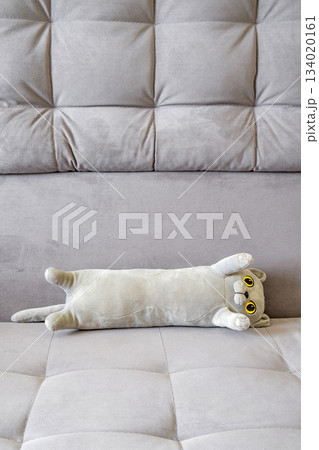 soft polyus toy cat on sofa 134020161