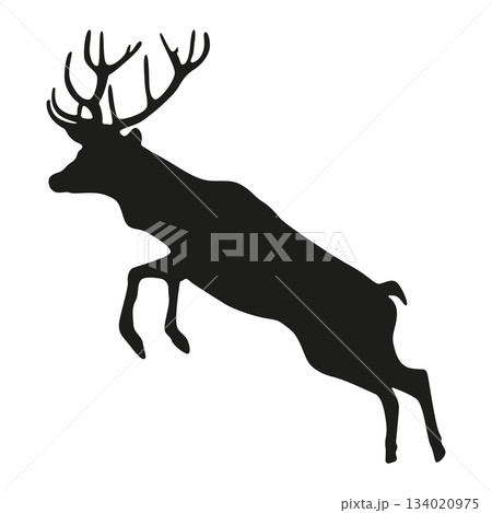 Deer_02 134020975