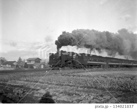 懐かしいレトロなモノクロ蒸気機関車 懐かしいレトロなモノクロ蒸気機関車 134021837