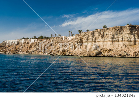 Rocky sea coast with palm trees, daytime 134021848