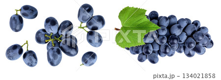 dark blue grape berry isolated on white background. Top view. Flat lay 134021858