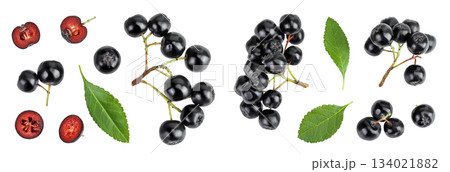 Chokeberry with leaf isolated on white background. Black aronia. Top view. Flat lay Chokeberry with leaf isolated on white background. Black aronia. Top view. Flat lay 134021882