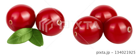 Cranberry with leaves isolated on white background with full depth of field 134021925