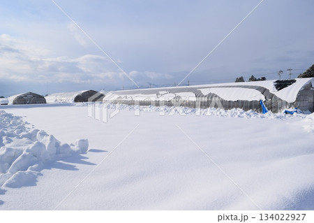 豪雪地方のビニールハウス 134022927