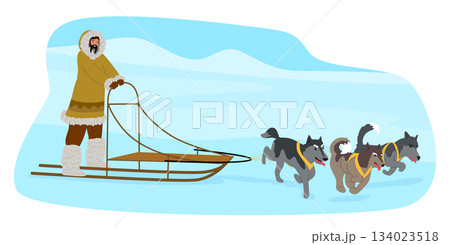 Brave man Eskimos riding sleigh pulled by hunting dogs across snowy plains of North Pole scene 134023518