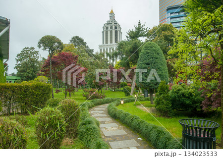Rhododendron blossoms in Japanese Garden Rhododendron blossoms in Japanese Garden 134023533