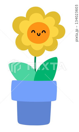 Vector sunflower in blue pot icon. Orange blooming sun flower illustration. Floral clipart. Cute summer, garden or Easter village bloom isolated on white background. Farm plant picture 134023603