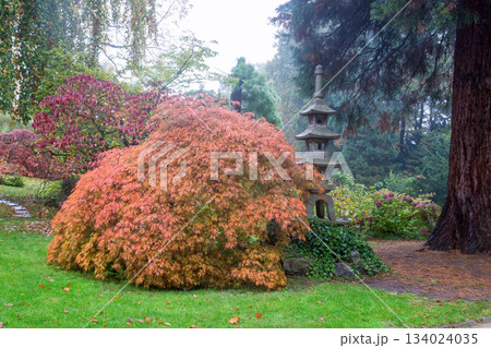 aUTUMN LEAF COLOR IN jAPANESE GARDEN aUTUMN LEAF COLOR IN jAPANESE GARDEN 134024035