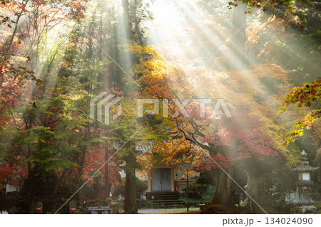 世羅町今高野山 紅葉と光芒 世羅町今高野山 紅葉と光芒 134024090