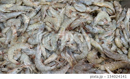 Top view of fresh shrimps display in wet market. 134024141
