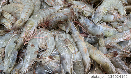 Top view of close up of fresh shrimps display in wet market. Top view of close up of fresh shrimps display in wet market. 134024142
