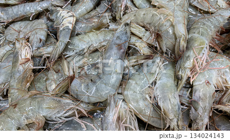 Close up view of fresh shrimps display in wet market. 134024143