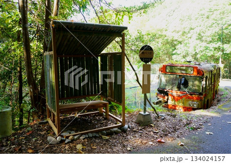 山の中の廃バスとバス停 134024157