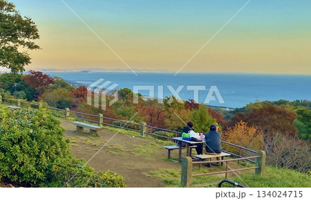 秋の平塚湘南平から見る相模湾 134024715