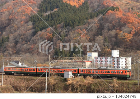 廃墟群が立ち並ぶ妙高高原駅に到着するしなの鉄道115系電車の臨時列車_2025/11/23撮影 廃墟群が立ち並ぶ妙高高原駅に到着するしなの鉄道115系電車の臨時列車_2025/11/23撮影 134024749