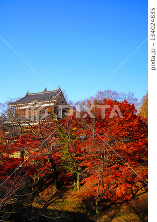 上田城跡公園の紅葉 134024835