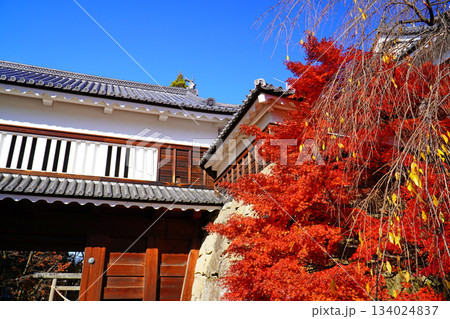 上田城跡公園の紅葉 134024837