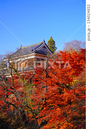 上田城跡公園の紅葉 134024852