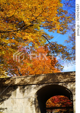 上田城跡公園の紅葉 134024887