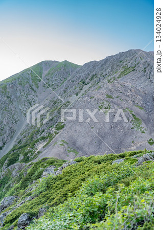 百閒平から見上げるマジックアワーの赤石岳　南アルプス赤石岳登山 134024928